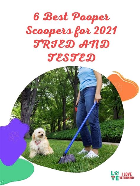 6 Best Pooper Scoopers for 2021 TRIED AND TESTED.